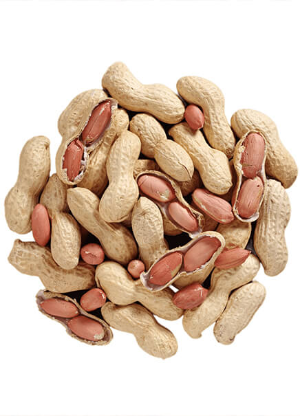 High-Oleic Peanuts